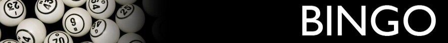 hollywood bingo image